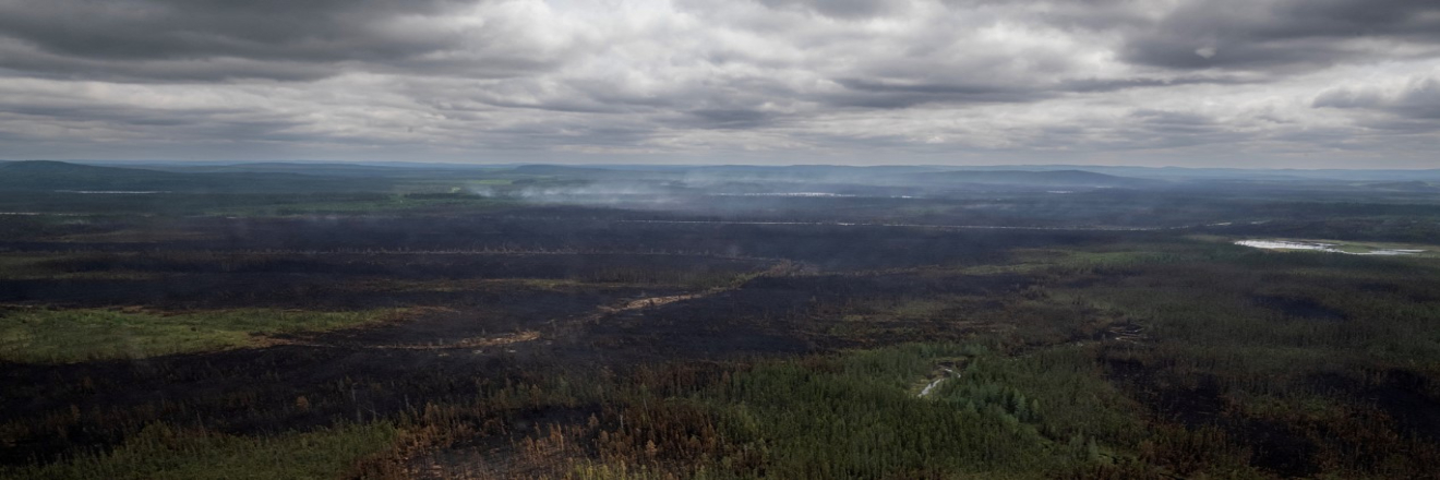 Canada - EU Response to wildfires.jpg