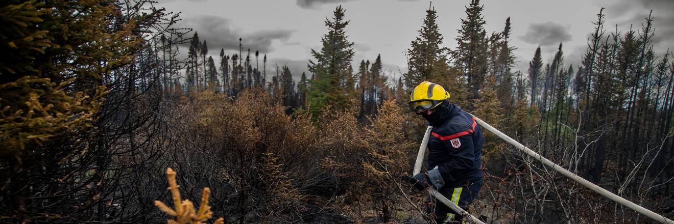 canada-eu-response-to-wildfires.jpg