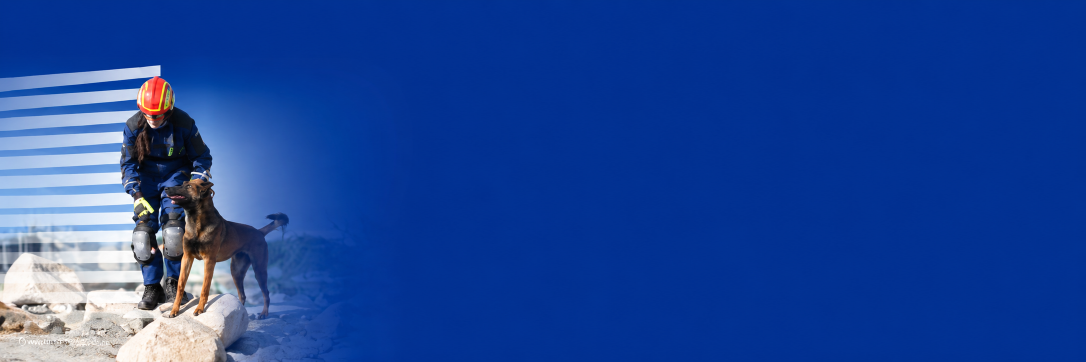 carousel-component-banner-1296x432-3-1-ratio.png