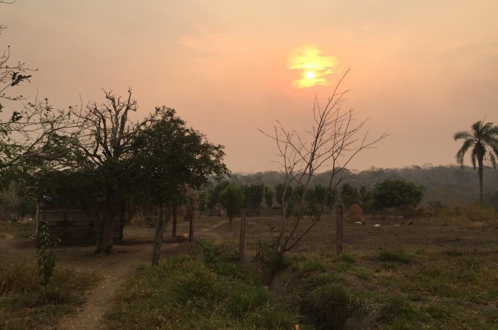 Throwback EU’s response to forest fires in Bolivia