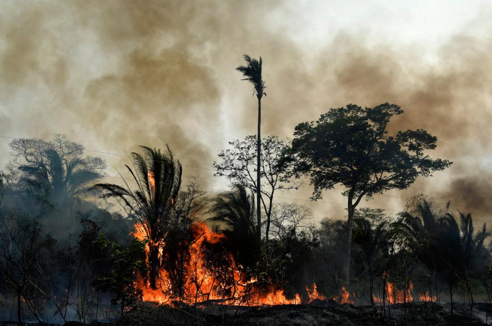 Throwback EU’s response to forest fires in Bolivia