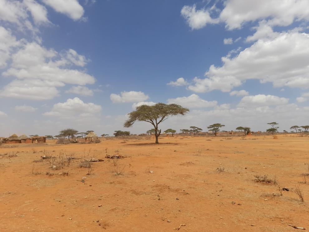 Ethiopia the worst drought in a generation