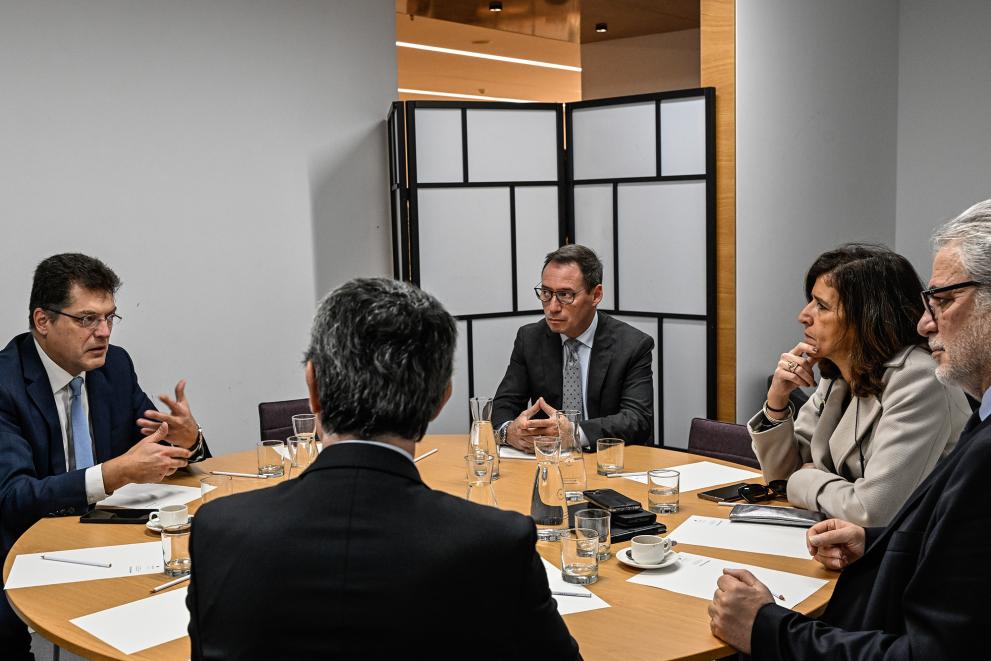 Lenarcic meeting Portuguese Civil Protection authority