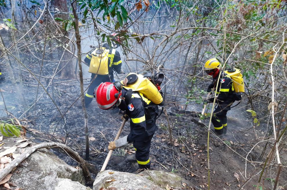 Throwback EU’s response to forest fires