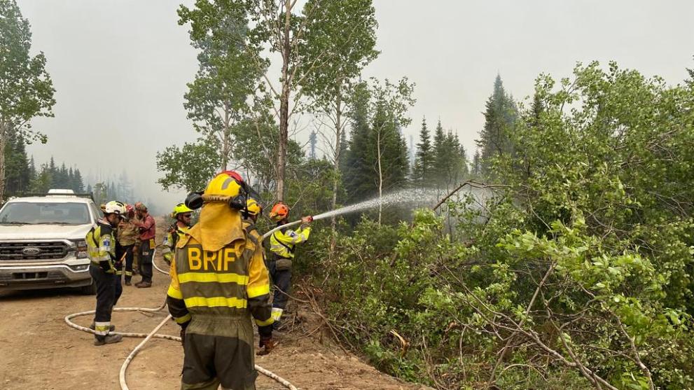A team of firefighters stand facing a forest area. One of them is holding a fire hose, spraying water into the woods.