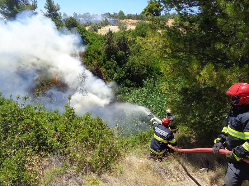  Romanian firefighters during a wild fire in Porto Germano.