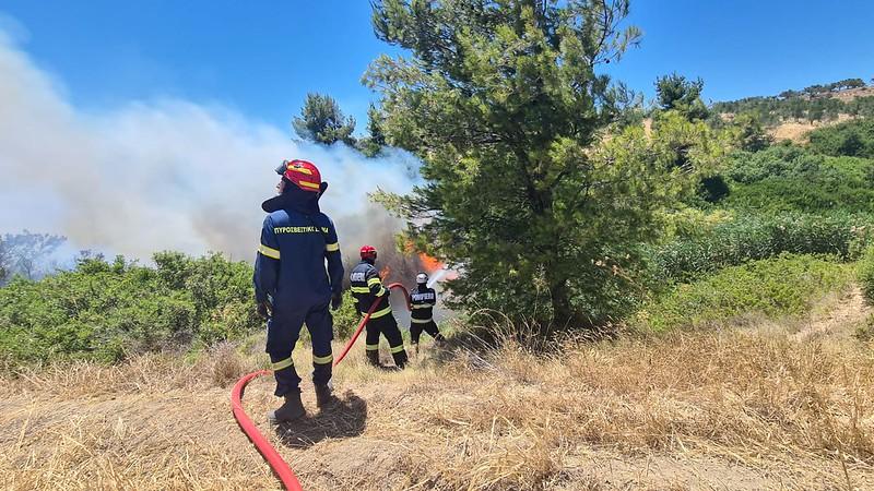 Romanian firefighters during a forest fire in Porto Germano.