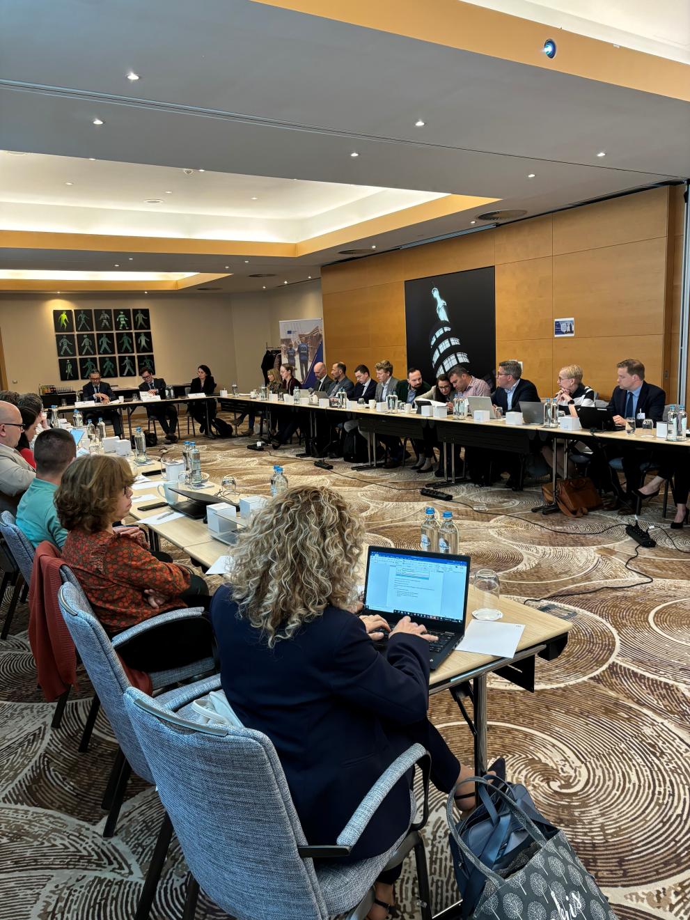 Participants of the DRM Science and Planning working group meeting