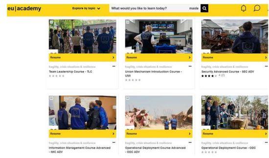 EU Academy_screenshot of one of the online trainings.