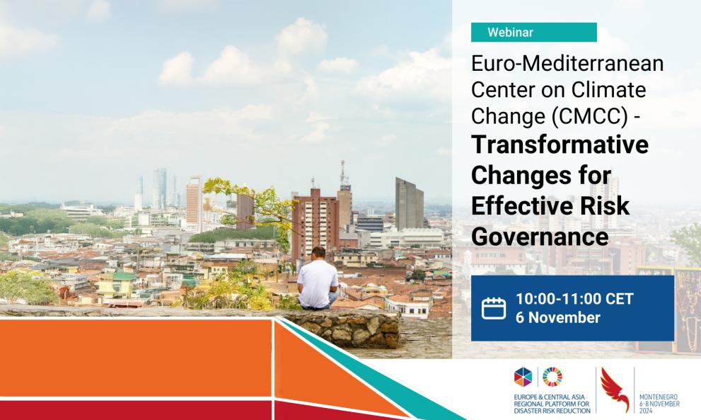 EFDRR poster