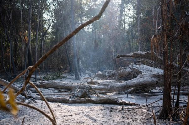 Wildfires in Petén, Guatemala pose a threat to the Maya Biosphere Reserve. 