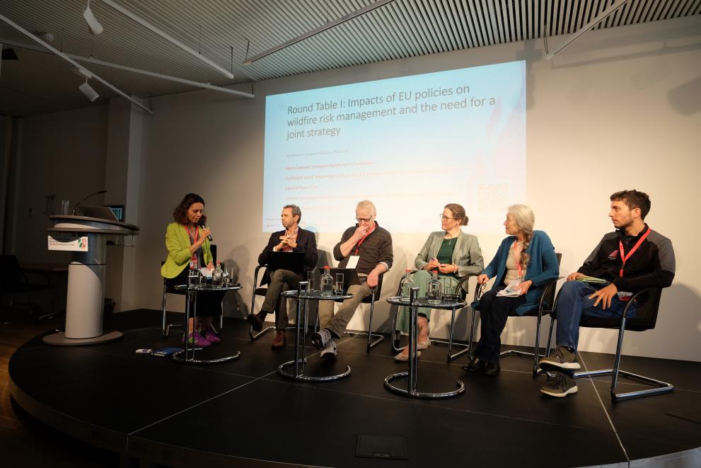 panel at firelogue