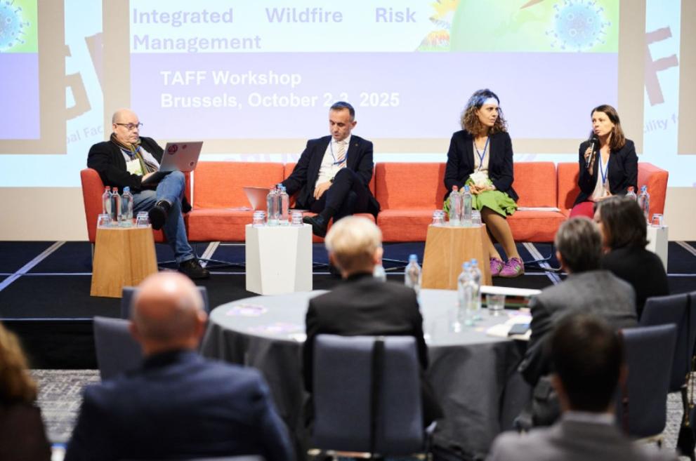 View from the TAFF Conference, Day 2 - From impact to recovery