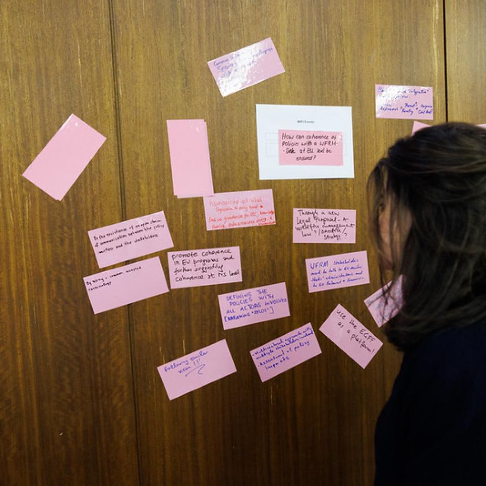 Participant of the event during one of the thematic workshops.