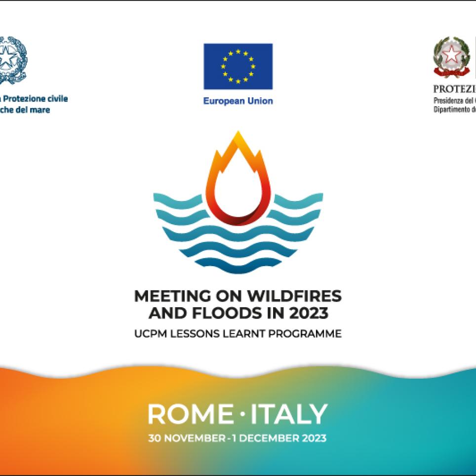 Meeting on wildfires and floods in 2023