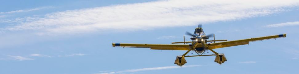 plane in the sky