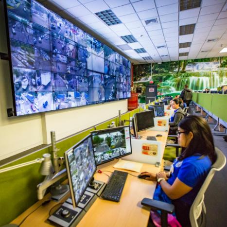 Prevention and response