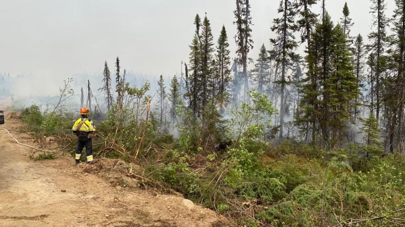A firefighter stands on the edge of a forest area from which smoke is rising