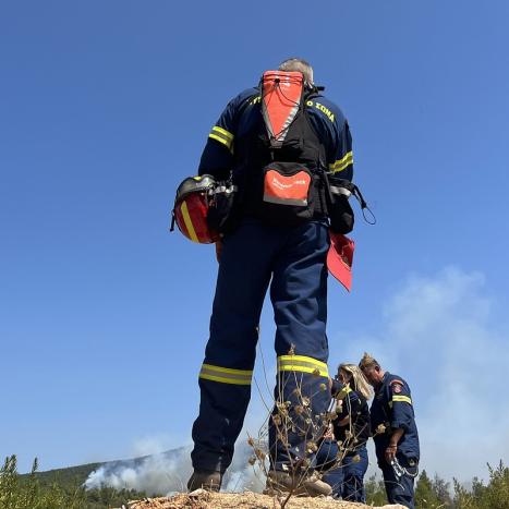 Wildfires in Greece - biggest rescEU aerial firefighting operation.jpg ...