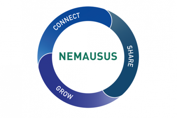 NEMAUSUS