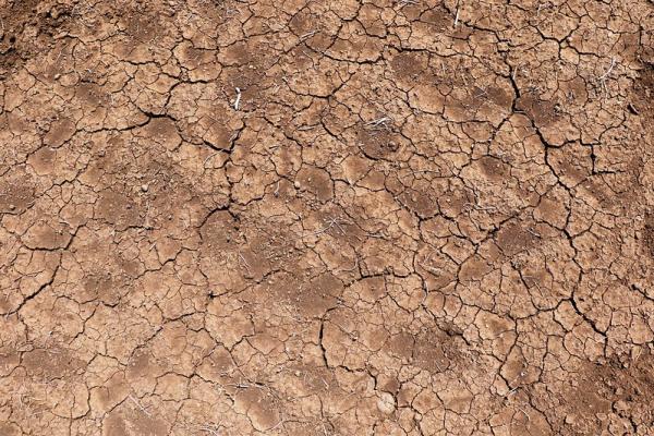 Ethiopia: worst El Niño induced drought in 50 years