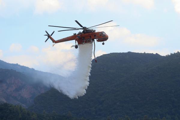 UCPM Forest fires