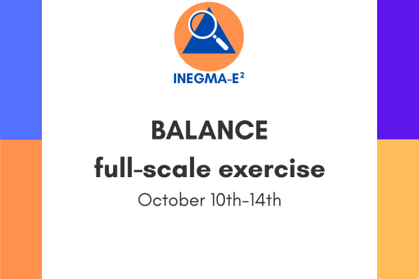 INEGMA-E2 at BALANCE FSX