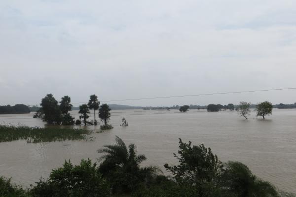 India Assessing the impact of Cyclone Phailin