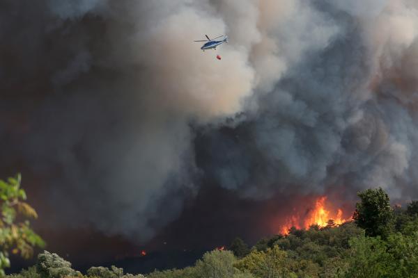 EU solidarity to combat wildfires across the continent