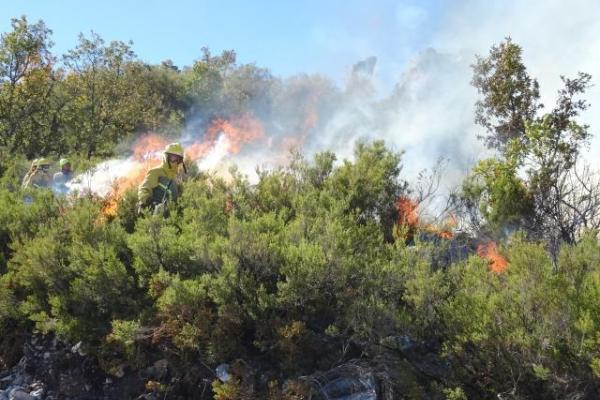 As a matter of prevention and preparedness activities Spanish forest fire authorities burn highly flammable vegetation at times of low forest fire danger