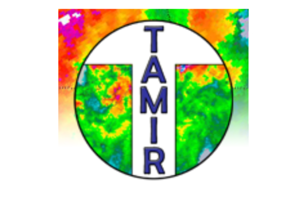 TAMIR Logo
