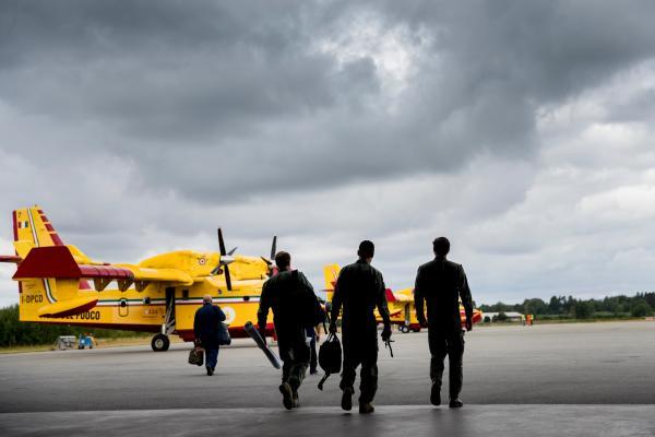 The Capacity Development Pillar