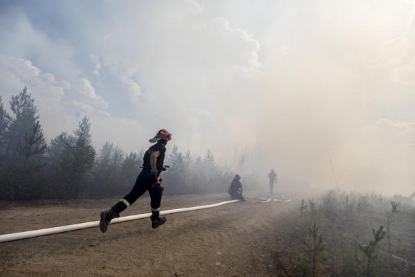 firefighters running along forest area