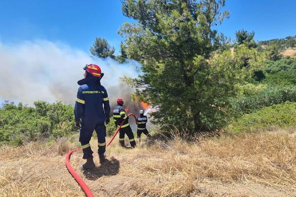 Romanian firefighters during a forest fire in Porto Germano.
