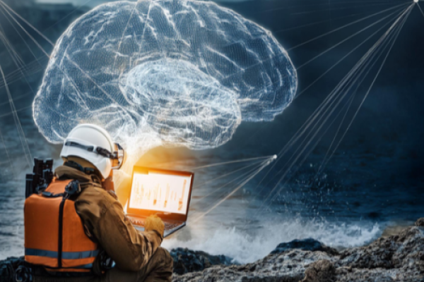 Artificial Intelligence for Disaster Risk Management 