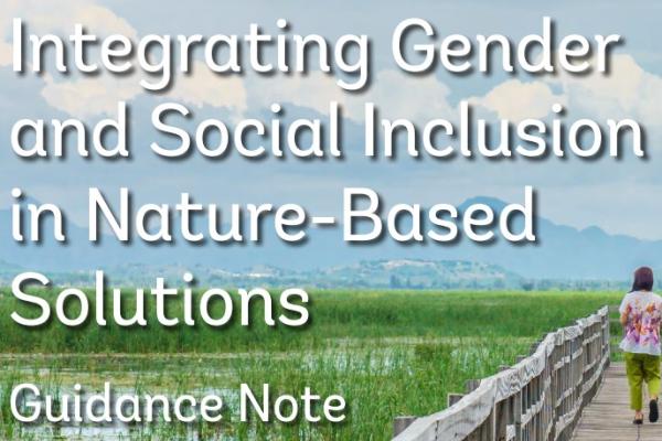 integrating-gender-and-social-inclusion