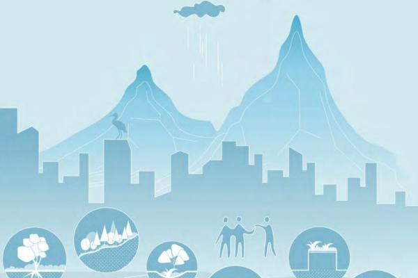 The Urban NBS Catalogue