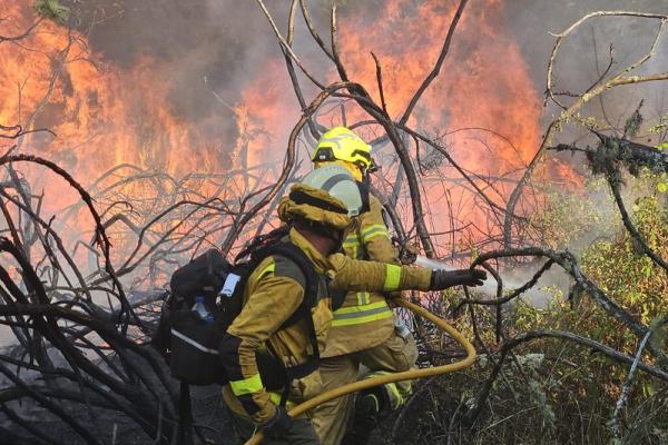 in-early-august-a-team-of-dutch-firefighters-who-were-strategically-prepositioned-in-northwestern-spain-via-the-eu-civil-protection-mechanism-quickly-joined-a-firefighting-operation-around-pontevedra-and-helped-contain-a-fire