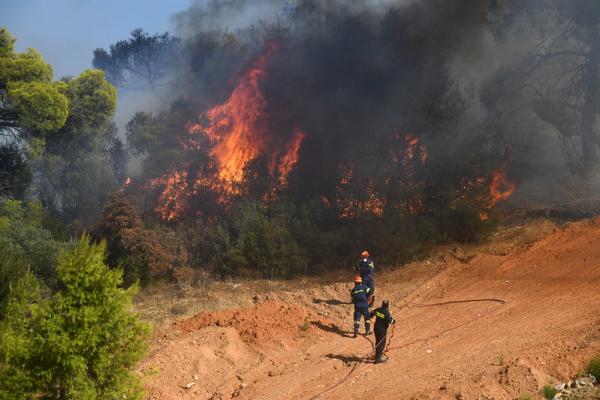 It doesn’t take long for a spark to ignite and turn into towering red flames devouring a forest.