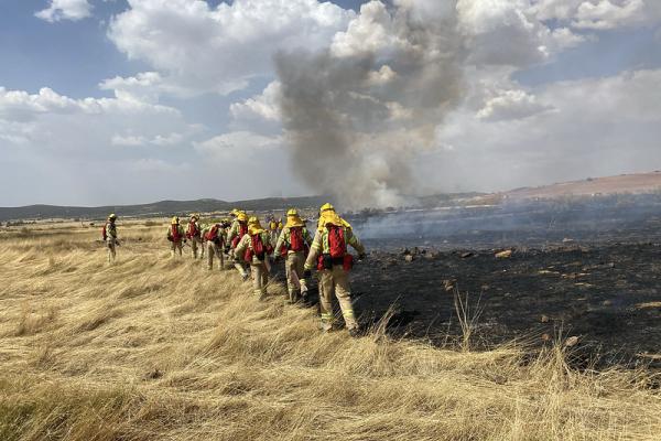 The first on the wildfire frontline: meet the firefighters behind EU civil protection missions.