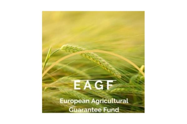 EAGF-LOGO
