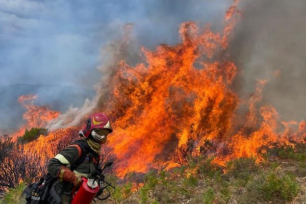 A trained firefighter alongside their Italian colleagues and provided support in extinguishing fires whenever needed.