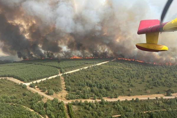 The first on the wildfire frontline: meet the firefighters behind EU civil protection missions