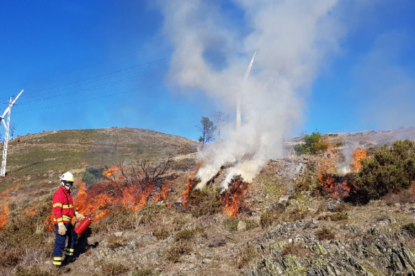 Firefighters conducting a prescribed burn in Portugal, on a hill side.
