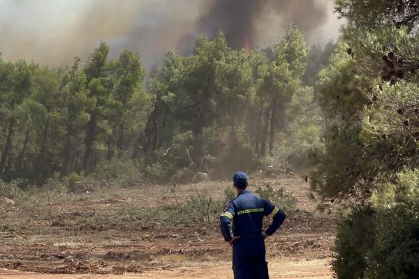 This wildfire is the largest blaze in the European Union since 2000, when the European Forest Fire Information System (EFFIS) started recording data.