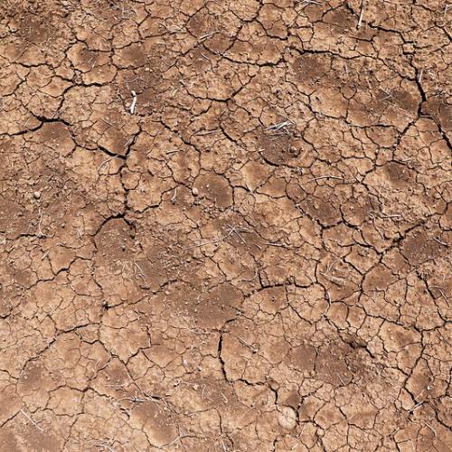 Ethiopia: worst El Niño induced drought in 50 years