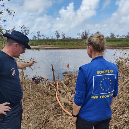 image for tamir project