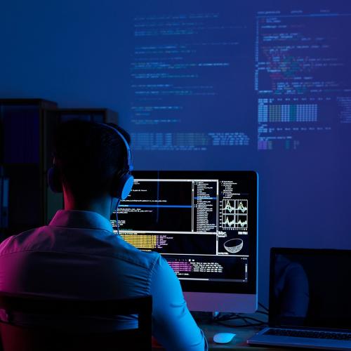 Software developer