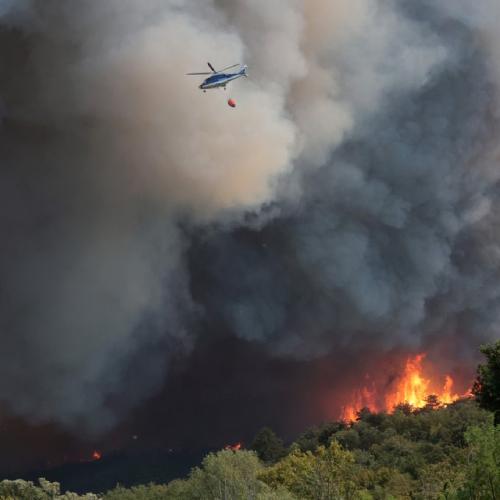 European forest fire season