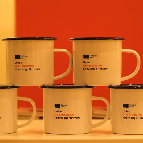 Main_KN mugs